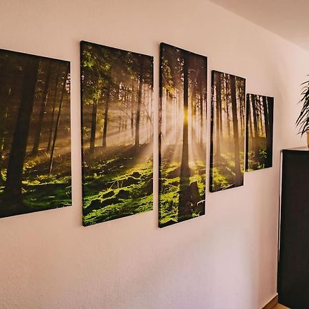Franzis Feriendomizil Im Herzgebirge Am Skihang Auerbach  Eksteriør bilde