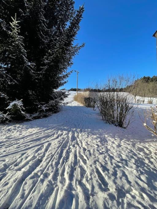Franzis Feriendomizil Im Herzgebirge Am Skihang Auerbach  Eksteriør bilde
