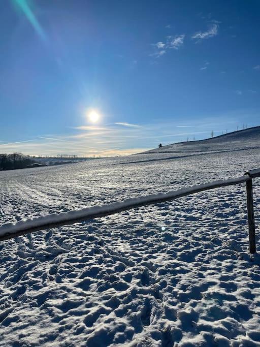 Franzis Feriendomizil Im Herzgebirge Am Skihang Auerbach  Eksteriør bilde