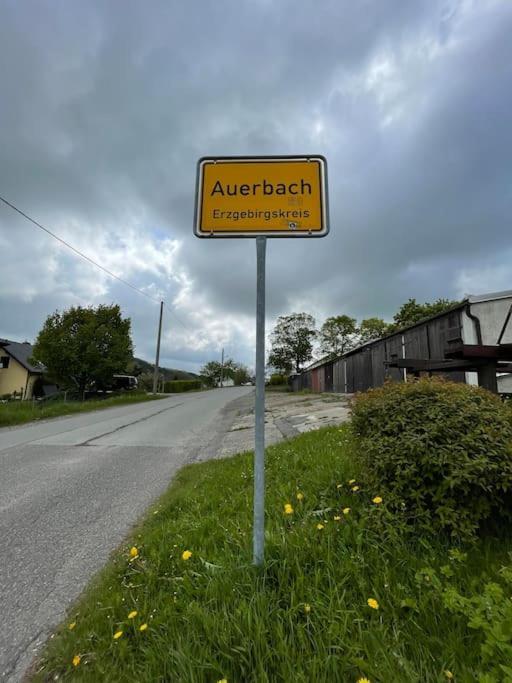 Franzis Feriendomizil Im Herzgebirge Am Skihang Auerbach  Eksteriør bilde