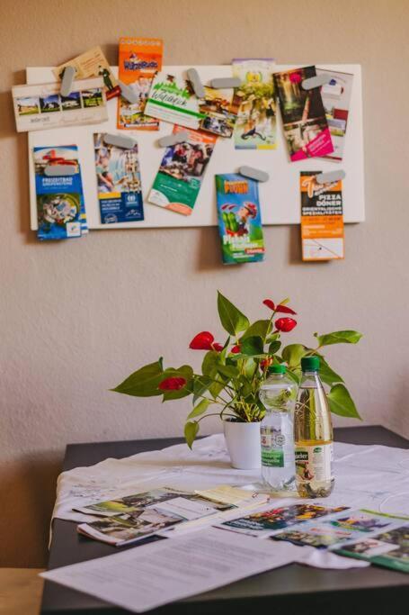Franzis Feriendomizil Im Herzgebirge Am Skihang Auerbach  Eksteriør bilde