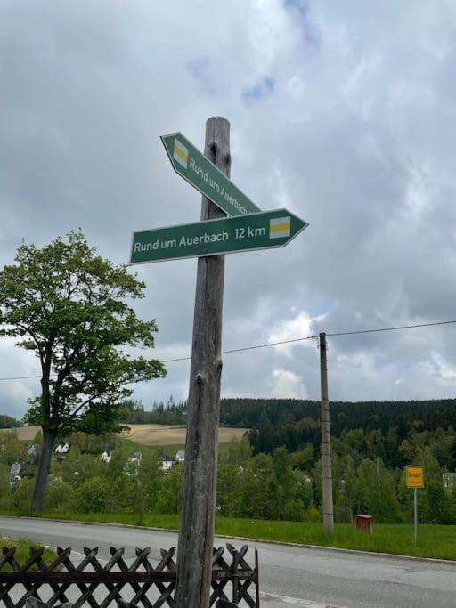 Franzis Feriendomizil Im Herzgebirge Am Skihang Auerbach  Eksteriør bilde