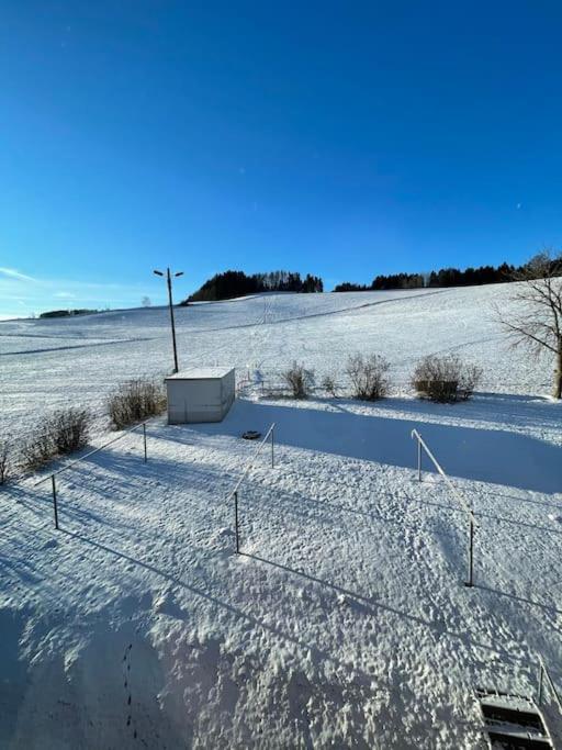 Franzis Feriendomizil Im Herzgebirge Am Skihang Auerbach  Eksteriør bilde